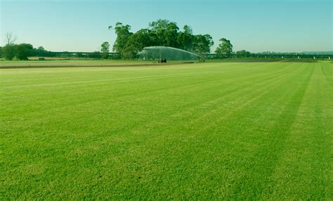 turf suppliers camden area